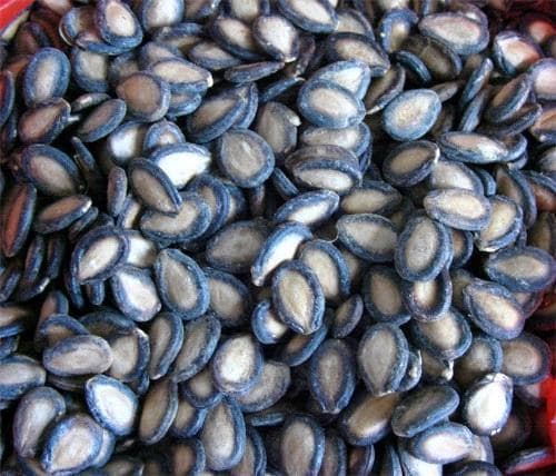 black dried Chinese watermelon seeds